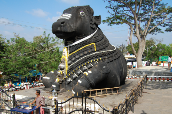 nandi